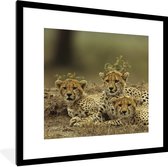 Fotolijst incl. Poster - Jonge cheetah welpen - 40x40 cm - Posterlijst