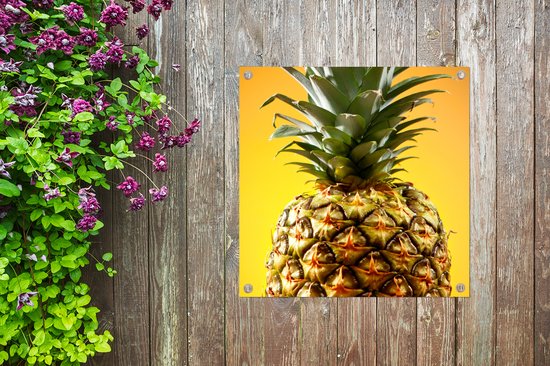 Serviette de jardin Ananas - Fruit - Jaune - 100x100 cm