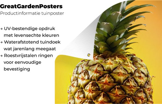 Serviette de jardin Ananas - Fruit - Jaune - 100x100 cm