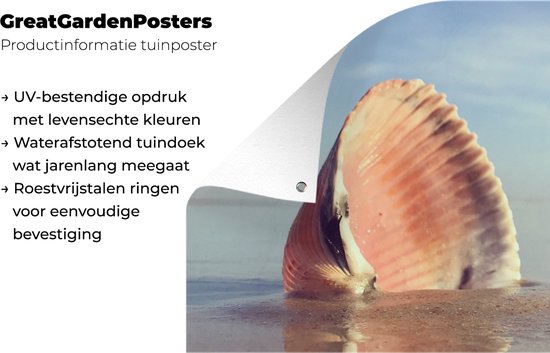 Poster de jardin Coquillage - Plage - Mer - 60x30 cm - Toile de jardin - Poster extérieur