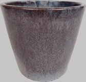 Hippeplantjes - Sierpot - Valencia - Licht Roze - 17x16 cm