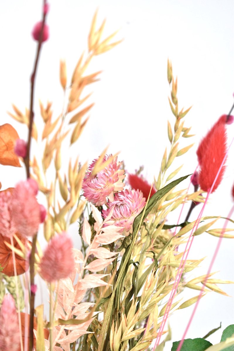 Droogbloemen