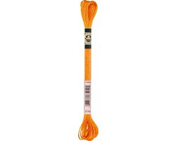 DMC 1008F Mouliné Satin Borduurgaren 8m S741