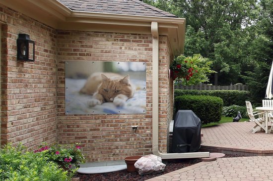 Affiche de jardin - Toile de Posters de jardin de jardin extérieur - Chat - Lit - Couvre-lit - Filles - Enfants - Garçons - Enfant - 120x80 cm - Jardin