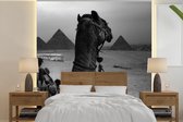Behang - Fotobehang Egypte - Kameel - Zwart - Wit - Breedte 220 cm x hoogte 220 cm