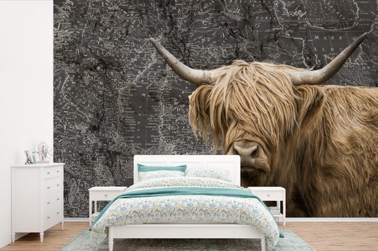 Behang - Fotobehang Schotse hooglander - Wereldkaart - Koe - Breedte 360 cm x hoogte 240 cm