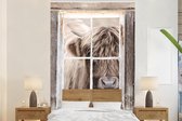 Behang - Fotobehang Schotse hooglander - Dier - Doorkijk - Breedte 180 cm x hoogte 280 cm