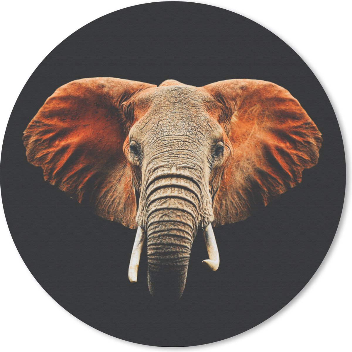 Muismat rond 30x30 cm - Mousepad Olifant - Dieren - Kleuren - Ronde muismatten
