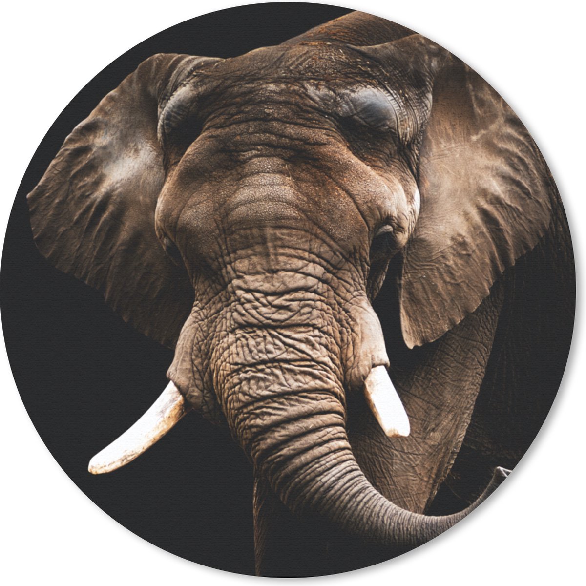 Muismat rond 30x30 cm - Mousepad Olifant - Dieren - Tanden - Ronde muismatten