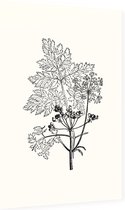 Gevlekte Scheerling zwart-wit (Hemlock) - Foto op Dibond - 40 x 60 cm
