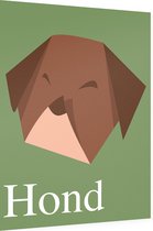 Poster Kleine hond (Dibond) - 60 x 80 cm