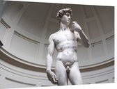 David, Michelangelo's meesterwerk in Florence - Foto op Dibond - 60 x 40 cm