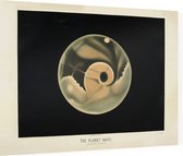The Planet Mars, Étienne Léopold Trouvelot - Foto op Dibond - 80 x 60 cm