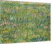 Grasgrond, Vincent van Gogh - Foto op Dibond - 80 x 60 cm
