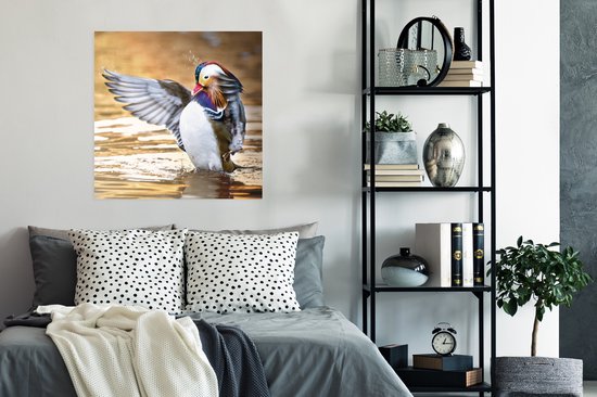Affiche Canard - Animal - Water - Automne - 75x75 cm