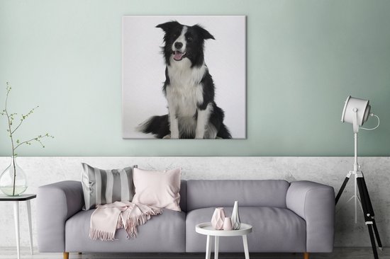Tableau Tableau Portrait photo d'un bon border collie assis - 90x90 cm - Décoration murale Art