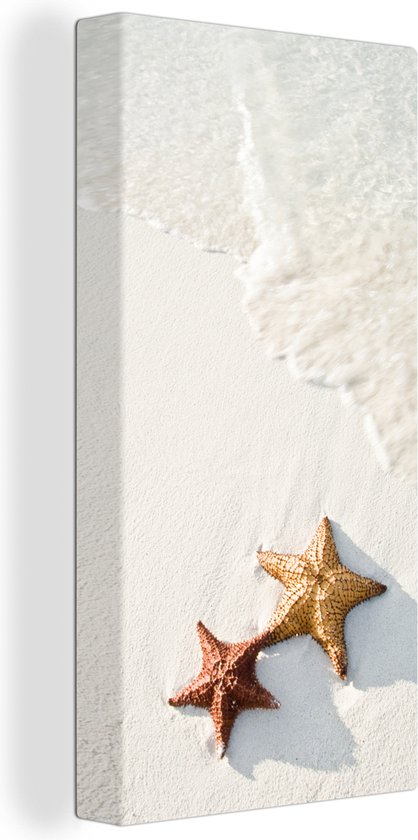 Toile Peinture Étoile de Mer - Oranje - Soleil - 20x40 cm - Décoration murale