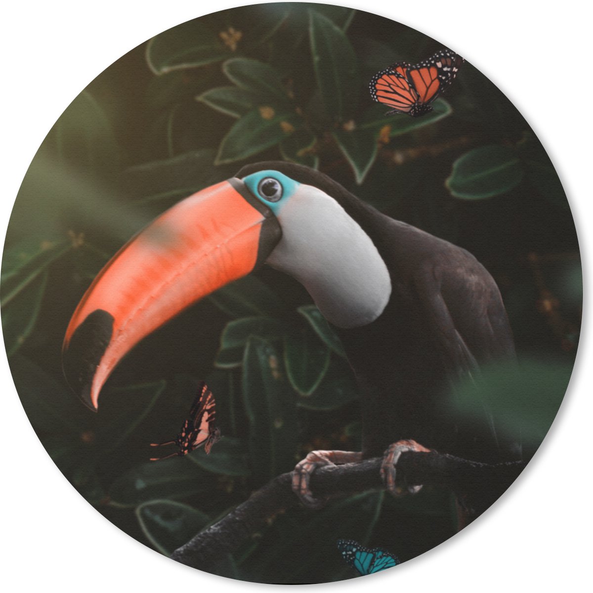 Muismat rond 30x30 cm - Mousepad Toekan - Vlinder - Bladeren - Ronde muismatten