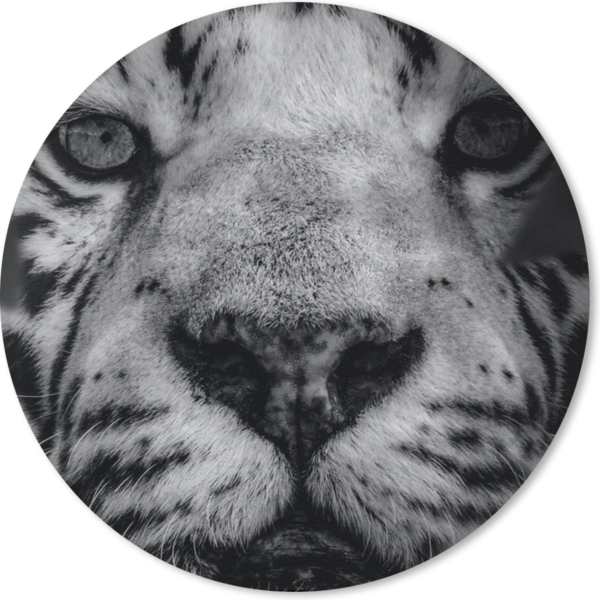 Muismat rond 30x30 cm - Mousepad Jungle - Tijger - Zwart - Wit - Ronde muismatten