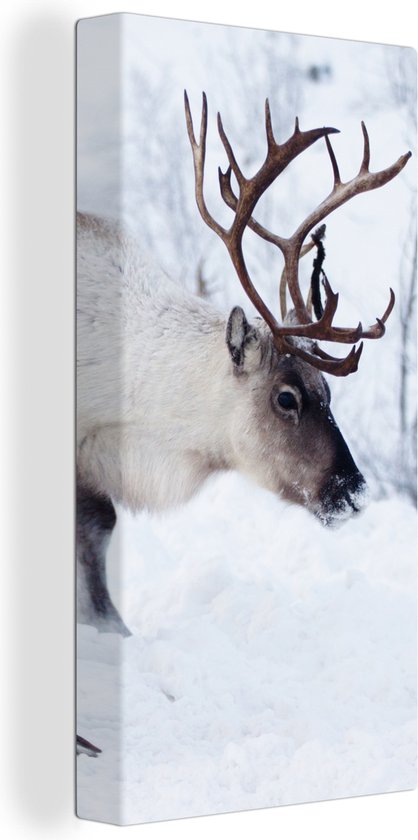 Tableau sur toile Une image de Noël de rennes sur les routes du Kilpisjarvi finlandais - 80x160 cm - Décoration murale