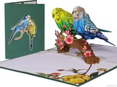 Popcards cartes popup – Carte d'anniversaire Vogel Perruche Perruche Romance Amour Enamoureux Couple Mariage Duo Félicitation Anniversaire Mariage Carte pop-up Carte de voeux 3D