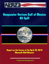 Deepwater Horizon Gulf of Mexico Oil Spill: Report on the Causes of the April 20, 2010 Macondo Well Blowout