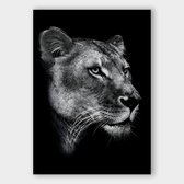 Artistic Lab Poster - Dark Lioness - 50 X 40 Cm - Multicolor