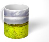 Mok - Een dubbele regenboog boven een moerassig veld - 350 ML - Beker