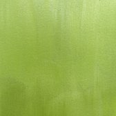 Cosmic shimmer metallic gilding polish Citrus Green