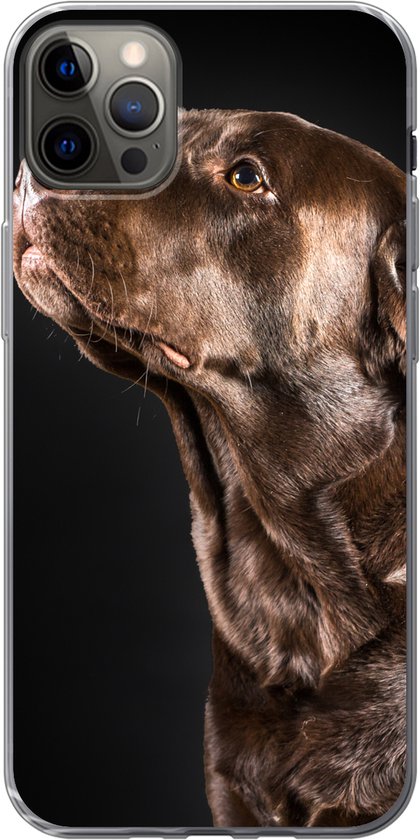 iPhone 12 Pro Max hoesje - Hond - Bruin - Portret - Siliconen Telefoonhoesje  | bol