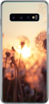Geschikt voor Samsung Galaxy S10 hoesje - Paardenbloem - Zonsondergang - Lente - Siliconen Telefoonhoesje