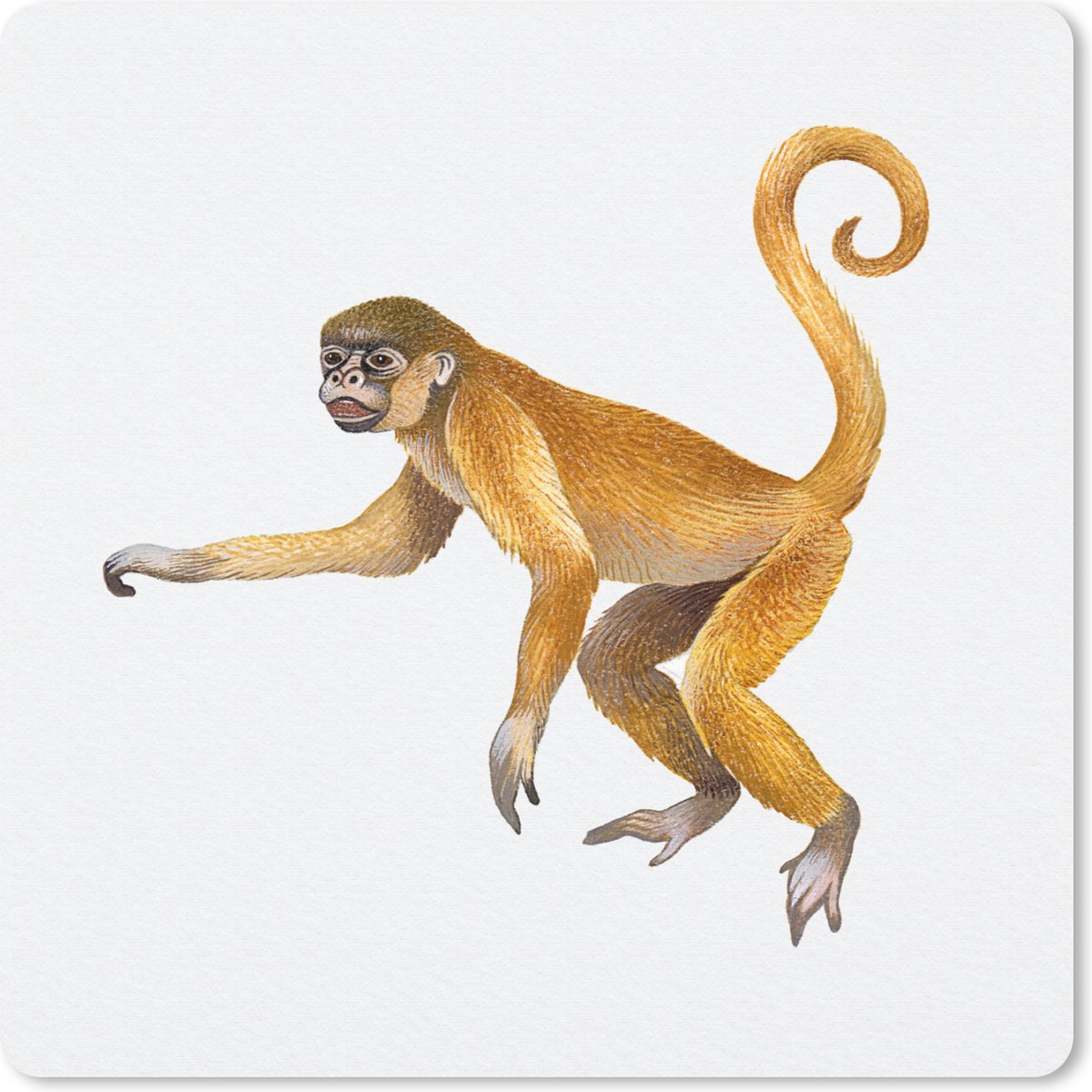 Muismat 30x30 cm - Mousepad Aap - Vacht - Waterverf - Muismatten