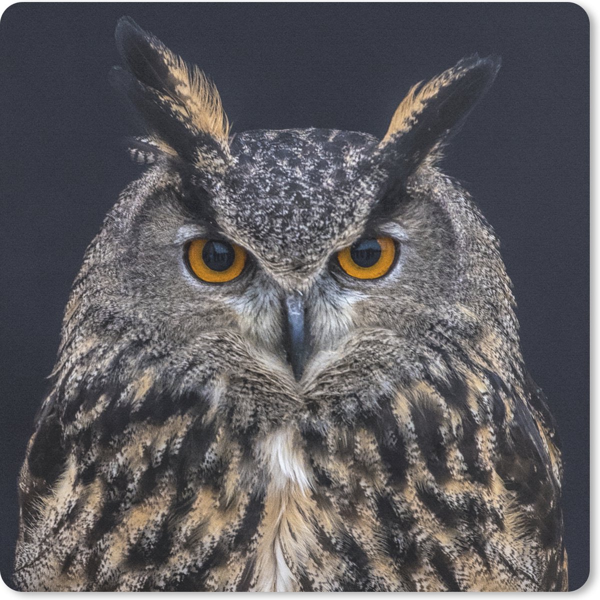 Muismat 30x30 cm - Mousepad Oehoe portret - Muismatten