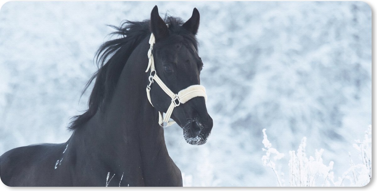Bureau onderlegger - Muismat - Bureau mat - Paard - Sneeuw - Winter - 80x40 cm