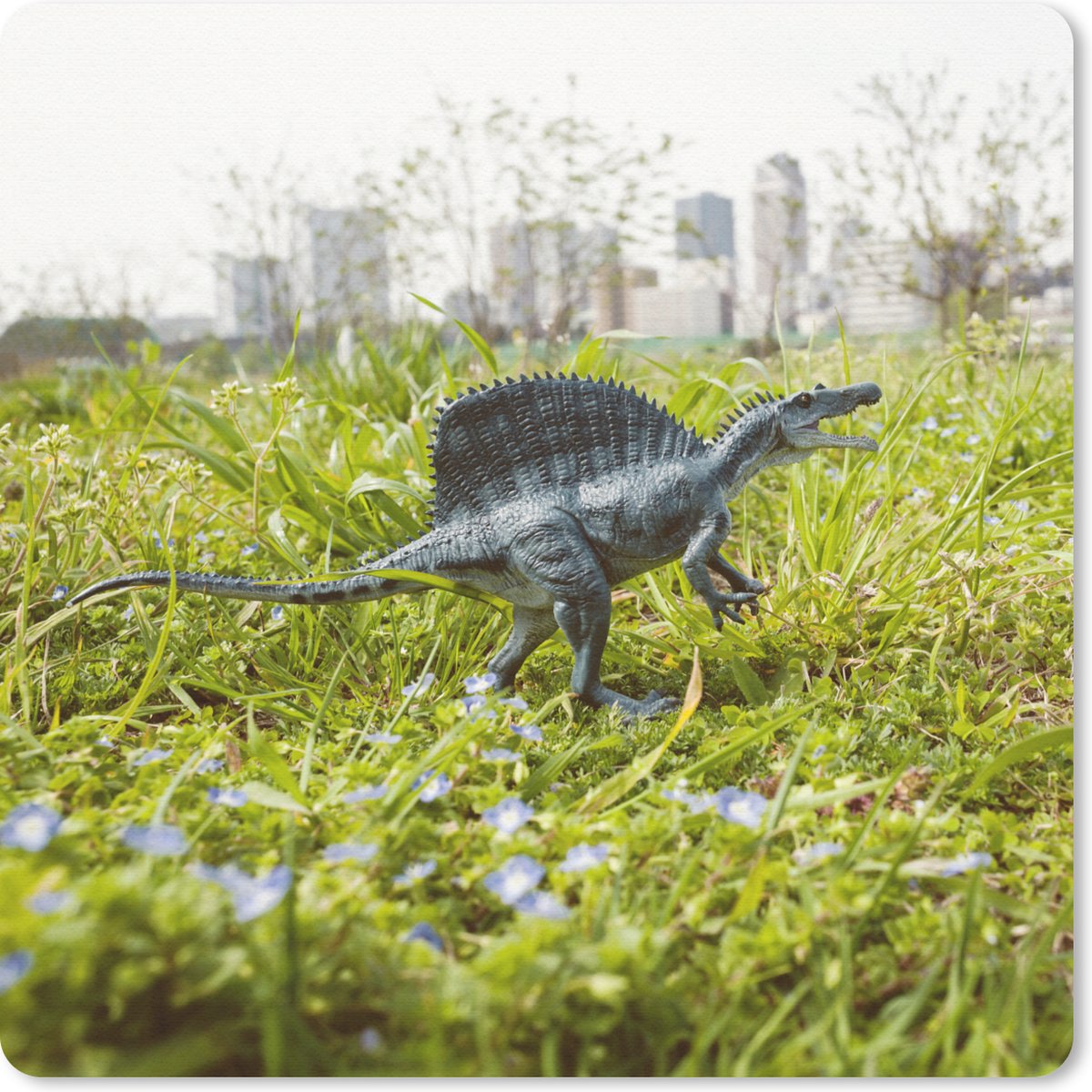 Muismat 30x30 cm - Mousepad Dinosaurus - Gras - Klein - Muismatten