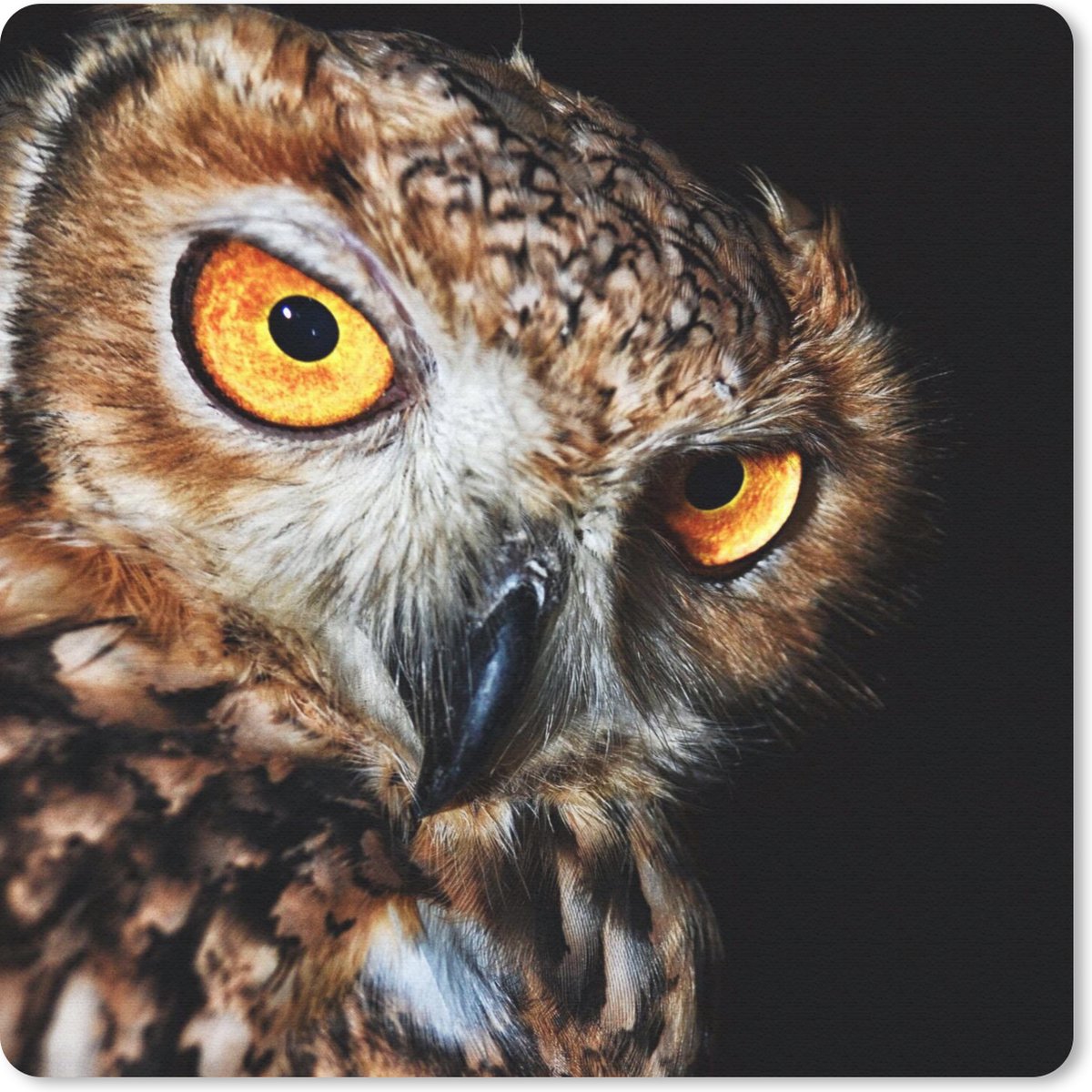 Muismat 20x20 cm - Mousepad Uil - Zwart - Geel - Muismatten