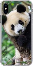 Geschikt voor iPhone Xs hoesje - Panda - Dieren - Jungle - Natuur - Siliconen Telefoonhoesje