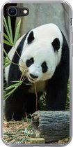 Geschikt voor iPhone 8 hoesje - Panda - Boomstam - Grot - Siliconen Telefoonhoesje