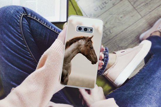 Coque Samsung Galaxy S10e - Cheval - Brume - Nature - Siliconen