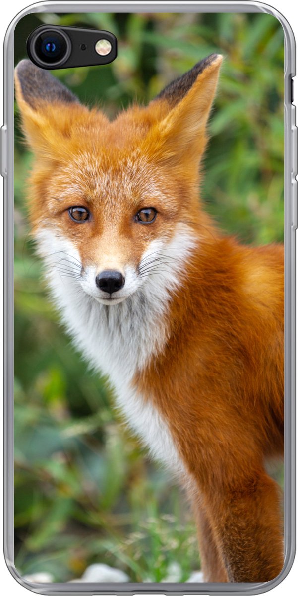 Telefoonhoesje Geschikt voor iPhone 7 hoesje - Vos - Oranje - Bos - Siliconen Telefoonhoesje Telefoonhoesje