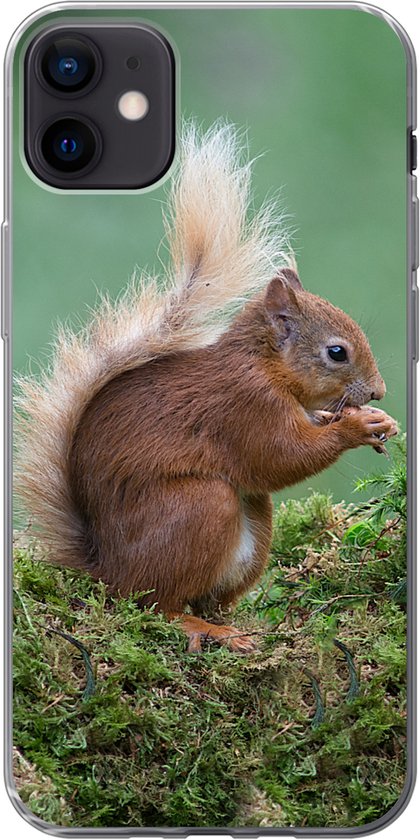 Coque iPhone 12 mini - Ecureuil - Forêt - Mousse - Siliconen