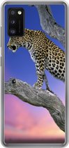 Telefoonhoesje Geschikt voor Samsung Galaxy A41 hoesje - Luipaard - Boom - Tak - Siliconen Telefoonhoesje