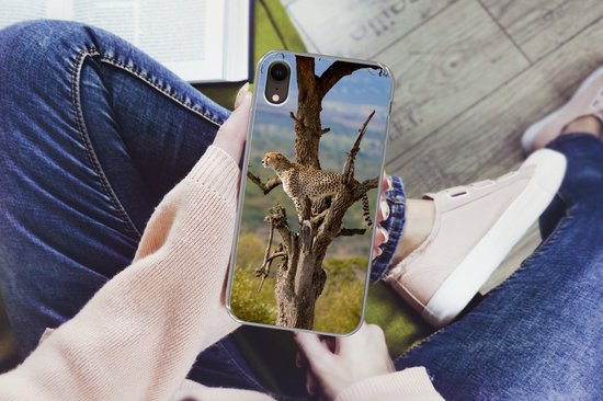 Coque iPhone XR - Léopard - Arbre - Animal - Siliconen