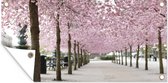 Tuinposter Lente - Sakura - Bomen - 60x30 cm - Tuindoek - Buitenposter