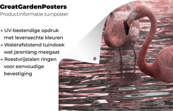 Tuinposter 80x40 cm - Tuindecoratie Een groep flamingo's staat in het water - Poster voor in de tuin - Buiten decoratie - Schutting tuinschilderij - Tuindoek muurdecoratie - Wanddecoratie balkondoek