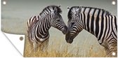 Wanddecoratie buiten Moeder zebra en haar jong - 160x80 cm - Tuindoek - Buitenposter