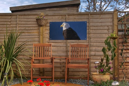 Poster de jardin Aigle - Gros plan - Branche - 60x30 cm - Toile de jardin - Poster extérieur