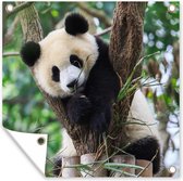 Tuindoek Panda - Dieren - Jungle - Natuur - 100x100 cm