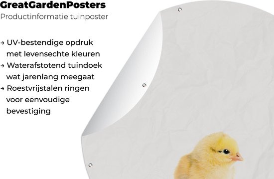 Tuincirkel Kuiken - Dieren - Jongens - Meisjes - Kinderen - 120x120 cm - Ronde Tuinposter - Buiten XXL / Groot formaat!