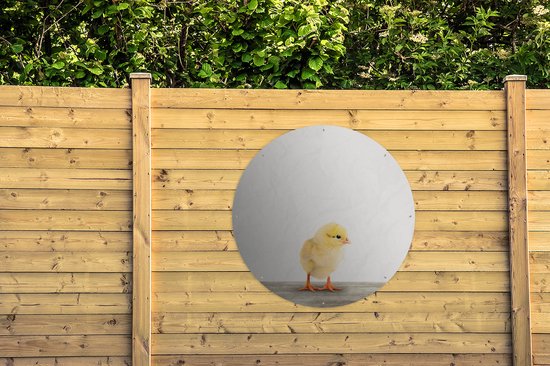 Tuincirkel Kuiken - Dieren - Jongens - Meisjes - Kinderen - 120x120 cm - Ronde Tuinposter - Buiten XXL / Groot formaat!